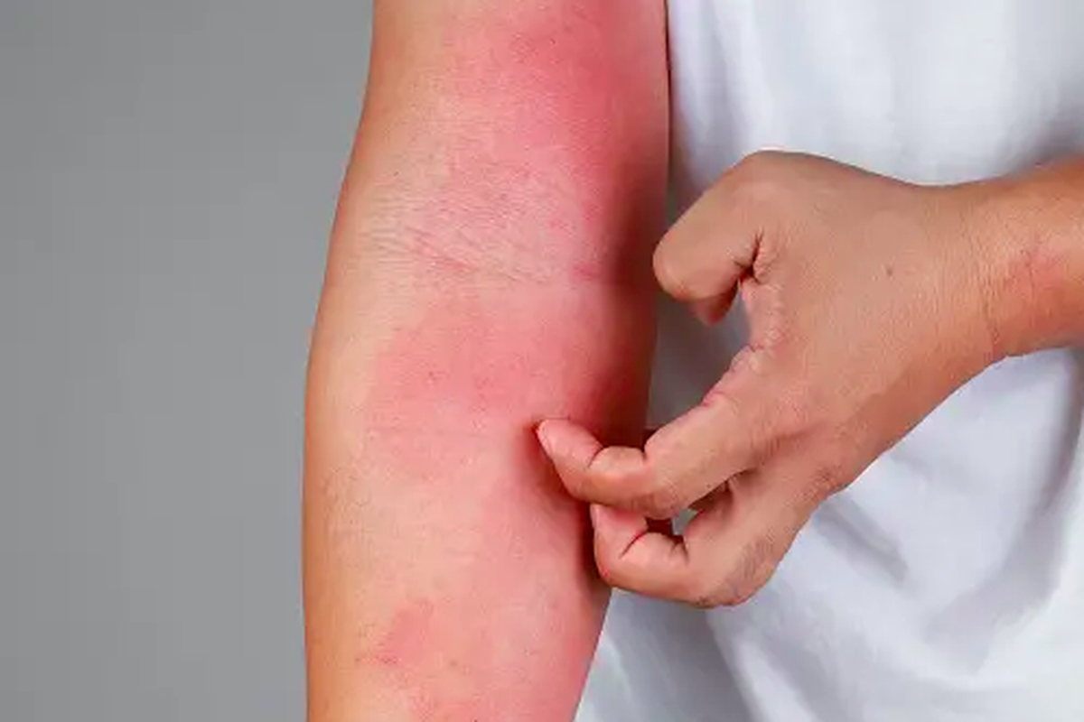 Fakta Eksim Fakta Eksim